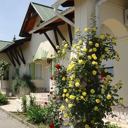 Makar Sport&wellness