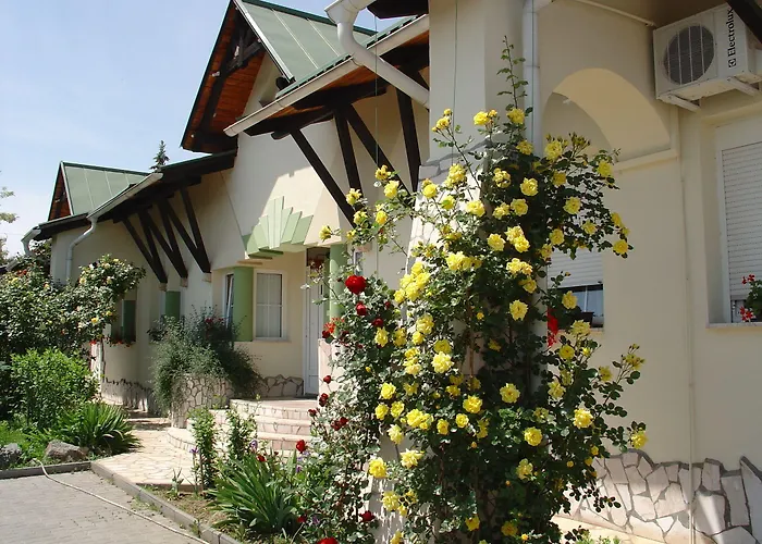 Makar Sport & Wellness