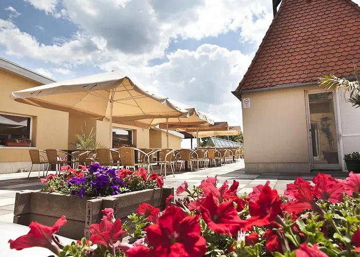 Ξενοδοχείο Makar Sport & Wellness 4*